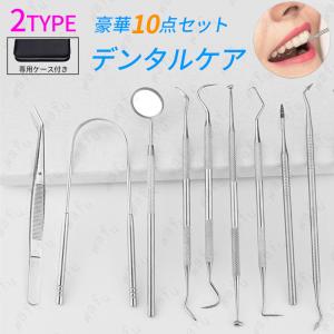 10本セット 歯石取り器具 歯石削り セルルケア 豪華 しこう取り ステンレス製 自宅用 デンタルツール 歯間 ヤニ 歯垢取り 口臭予防 専用ケース付き #br19