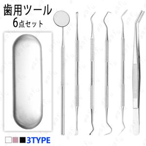 デンタルツール 日本国内当日発送 6本セット 歯石取り器具 歯間 ヤニ 歯垢取り 口臭予防 自宅用 しこう取り プロ用 歯用ツール 歯石削り 専用ケース付き #br35｜eririya