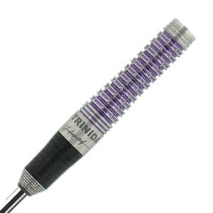 ダーツ バレル トリニダード リカルド3 ハード 22g タングステン90