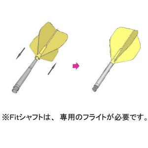 ダーツ フライト フィットフライトエアー シェ...の詳細画像1