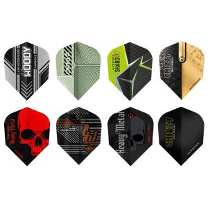 ダーツセット モンスターハンター20th ジンオウガ ダーツライブテーマ