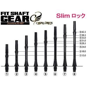 ダーツ シャフト フィットシャフト ギア スリムロック クリア : ER