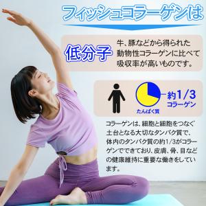 フィッシュコラーゲン 低分子 粉末 500g ...の詳細画像1