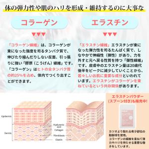 フィッシュコラーゲン 低分子 粉末 500g ...の詳細画像2