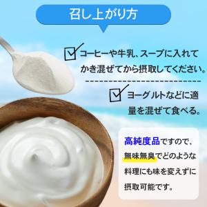 フィッシュコラーゲン 低分子 粉末 500g ...の詳細画像3