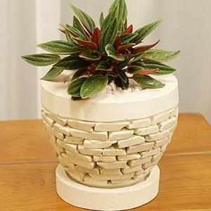 植木鉢 おしゃれ スティックストーン フラワーポット ラウンド ホワイト 鉢皿付き 鉢 和風 モダン 石 プランター ガーデニング アジアン雑貨 バリ インテリア Es Mk1910 04 アジアンインテリア Es Style 通販 Yahoo ショッピング