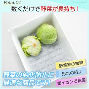 野菜フレッシュシート デオドライ Ag+ 1枚...の詳細画像1