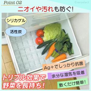 野菜フレッシュシート デオドライ Ag+ 1枚...の詳細画像2