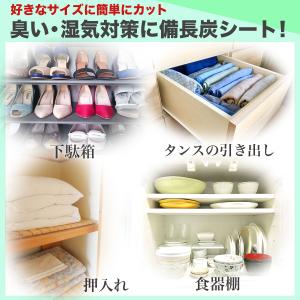 備長炭シート 30×450cm キッチン リビ...の詳細画像1