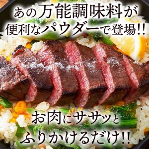 塩麹パウダー 無添加 塩麹 パウダー 150g...の詳細画像1