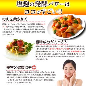 塩麹パウダー 無添加 塩麹 パウダー 150g...の詳細画像4