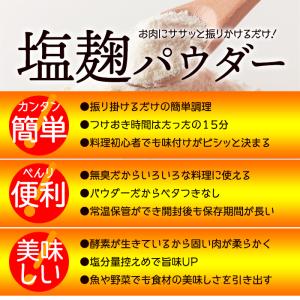 塩麹パウダー 無添加 塩麹 パウダー 150g...の詳細画像5