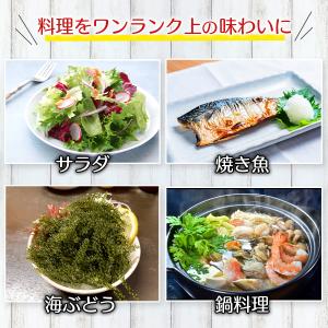 シークヮーサーぽんず 1000ml 業務用 シ...の詳細画像3