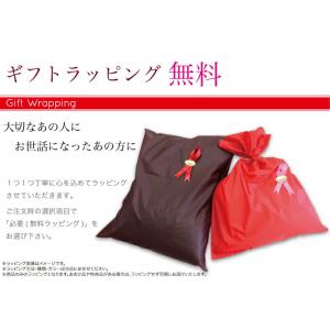 ボディドクター バックアップ サイズ:400×...の詳細画像3