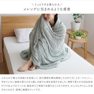 とろ〜りケット わたなしタイプ シングル とろ...の詳細画像3