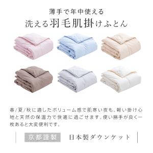 羽毛肌掛け布団 ダウンケット シングル ウォッ...の詳細画像1