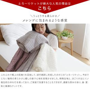 洗える 肌掛け布団 とろ〜りケット シングル ...の詳細画像4