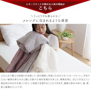 洗える 肌掛け布団 とろ〜りケット シングル ...の詳細画像4