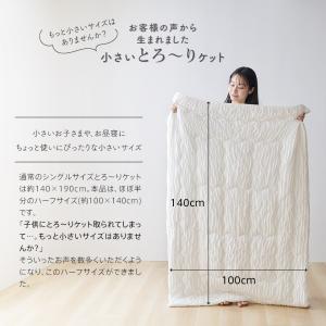 ハーフサイズ 洗える肌掛け布団 とろ〜りケット...の詳細画像3
