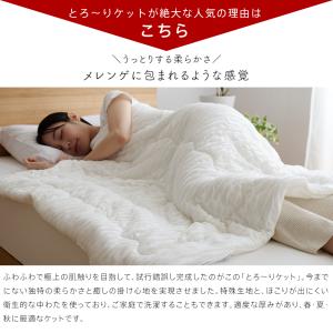 ハーフサイズ 洗える肌掛け布団 とろ〜りケット...の詳細画像5