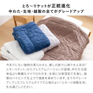 【廃盤のため在庫処分】プレミアム とろ〜りケッ...の詳細画像3