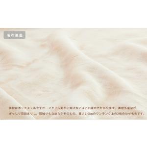 割引品 西川 毛布 シングル 2枚合わせ毛布 ...の詳細画像2