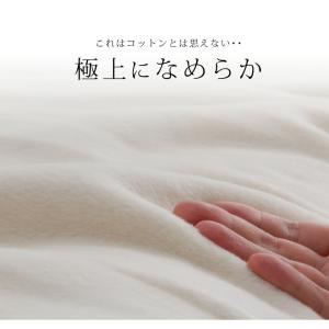 毛布 シングル 綿毛布 酵素精練 シルク毛布の...の詳細画像1