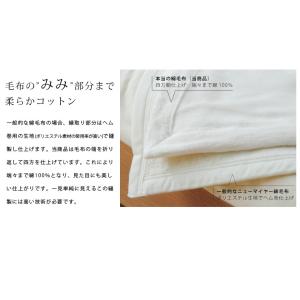 毛布 シングル 綿毛布 酵素精練 シルク毛布の...の詳細画像5