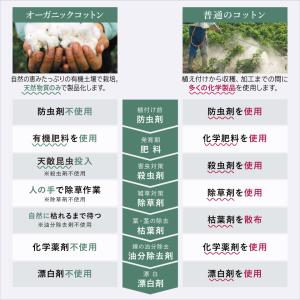 綿毛布 シングル 140×200cm オーガニ...の詳細画像5