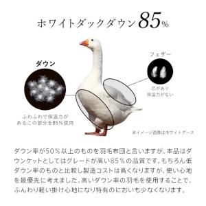2枚組 1枚あたり9,690円 羽毛肌掛け布団...の詳細画像2