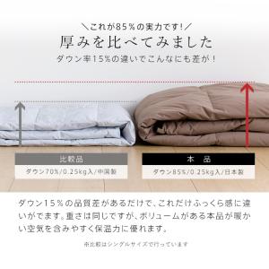 2枚組 1枚あたり9,690円 羽毛肌掛け布団...の詳細画像3