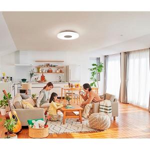 (メーカー在庫限り廃番)アイリスオーヤマ CE...の詳細画像5
