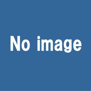 エプソン LPA3ETC10 トナーカートリッジ モノクロ ノーブランド  「送料無料」｜esco-lightec