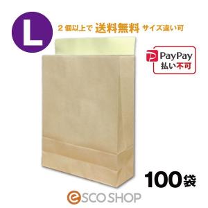 PayPay払い不可 宅配袋 クラフト 大 Lサイズ 100枚 茶色