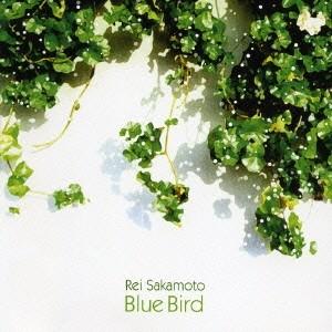 坂本麗衣／Blue Bird 【CD】｜esdigital
