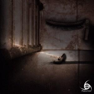 Para：noir／Amaryllis／Cosmos［TYPE B］ (初回限定) 【CD】