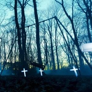 THE GAZETTE／TRACES VOL.2《通常盤》 【CD】