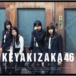 欅坂46/風に吹かれても《TYPE-B》 【CD...の商品画像