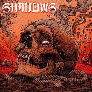 SHADOWS／illuminate 【CD+DVD】