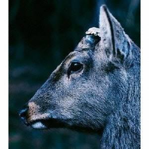 toe／the book about my idle plot on a vague anxiety...