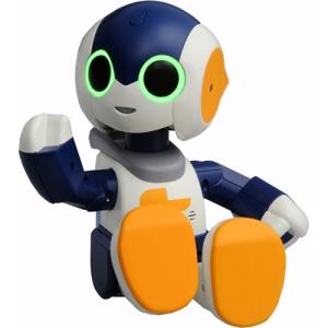 オムニボット もっとなかよしRobi Jr. お...の商品画像