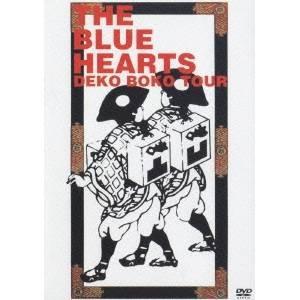 スレイヤーズ TRY 全7巻セット/DVD 中古 レンタル落ち/c5032 : パイン