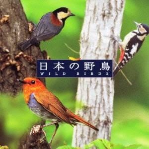 (BGM)／自然音 日本の野鳥 【CD】｜esdigital