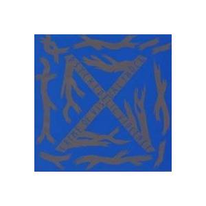 神聖かまってちゃん / 友だちを殺してまで。 (LP) : 北欧雑貨と音楽