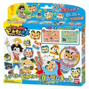 ピカちんキット レンちん！ピカちん！消しゴムキット おもちゃ こども 子供 女の子 ままごと ごっこ 作る 8歳｜esdigital