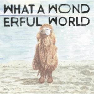 YASUYUKI HORIGOME／What A Wonderful World 【CD】