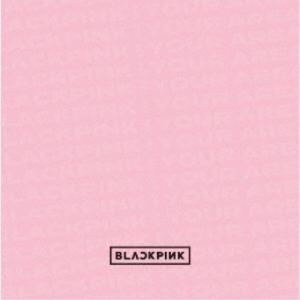BLACKPINK／BLACKPINK IN YOUR AREA (初回限定) 【CD+DVD】｜esdigital