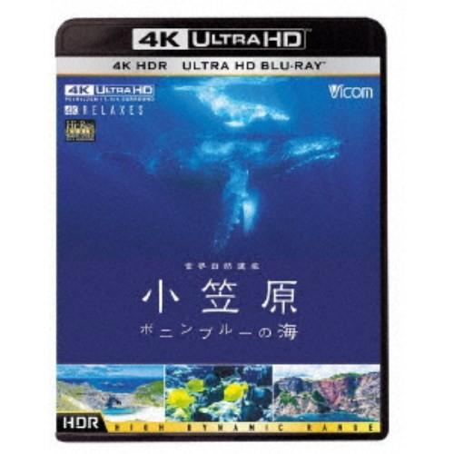 世界自然遺産 小笠原 〜ボニンブルーの海〜 UltraHD《UHDBD ※専用プレーヤーが必要です》...