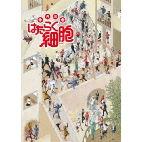 体内活劇 はたらく細胞《完全生産限定版》 (初回限定) 【DVD】