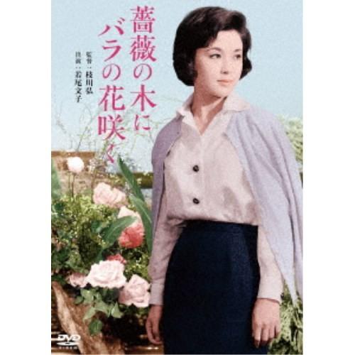 薔薇の木にバラの花咲く 【DVD】